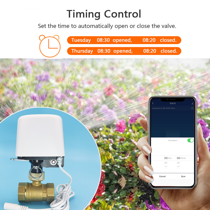Valvola dell'Acqua WiFi Tuya Z - Home Assistant Tuya recensione e prezzo