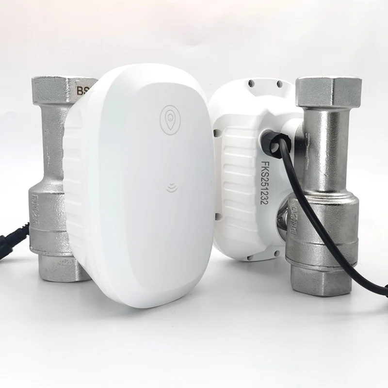 Valvola dell'Acqua con Control - Home Assistant Tuya recensione e prezzo